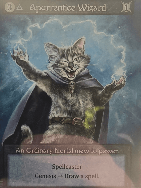Apurrentice Wizard