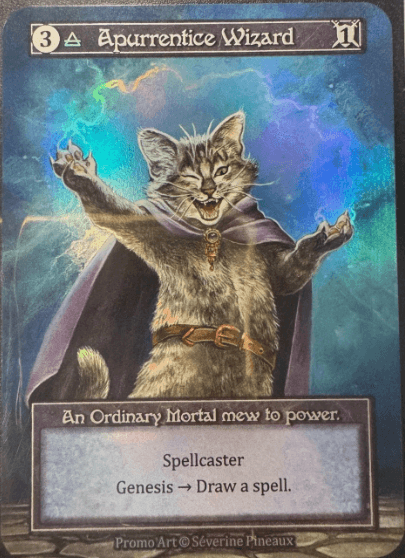 Apurrentice Wizard (foil)
